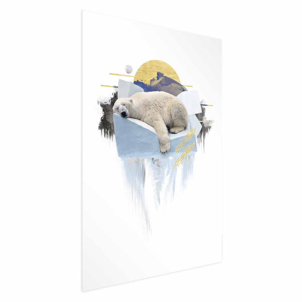 Plakat Niedźwiedź polarny 21x30 cm