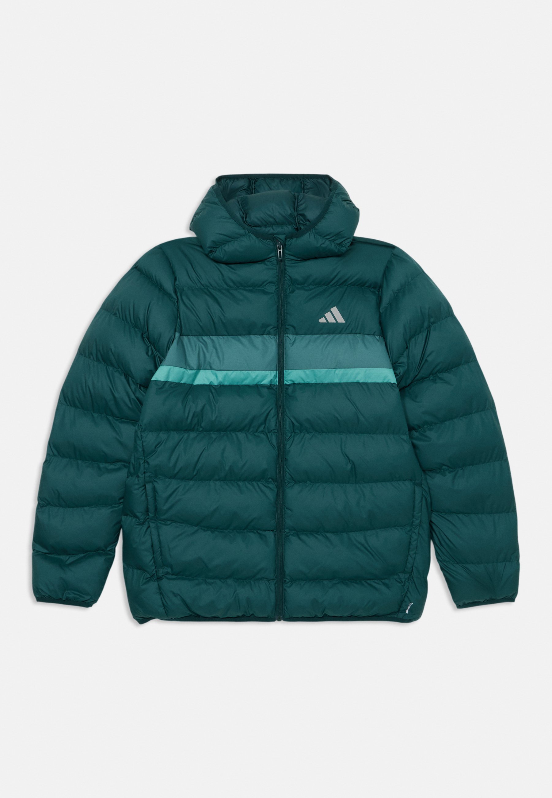 adidas Performance JACKET JUNIOR UNISEX - Winterjas - aurora ivy/preloved teal/powder teal