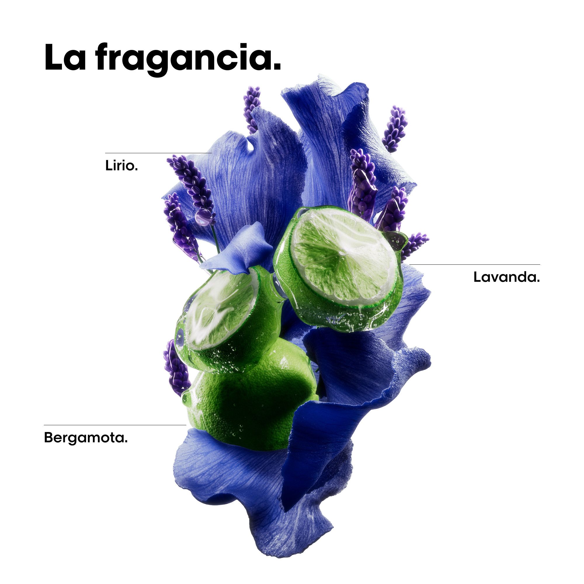 Serie Expert Scalp Advanced Dermo-Regulating šampon, dopuna Šamponi za salone