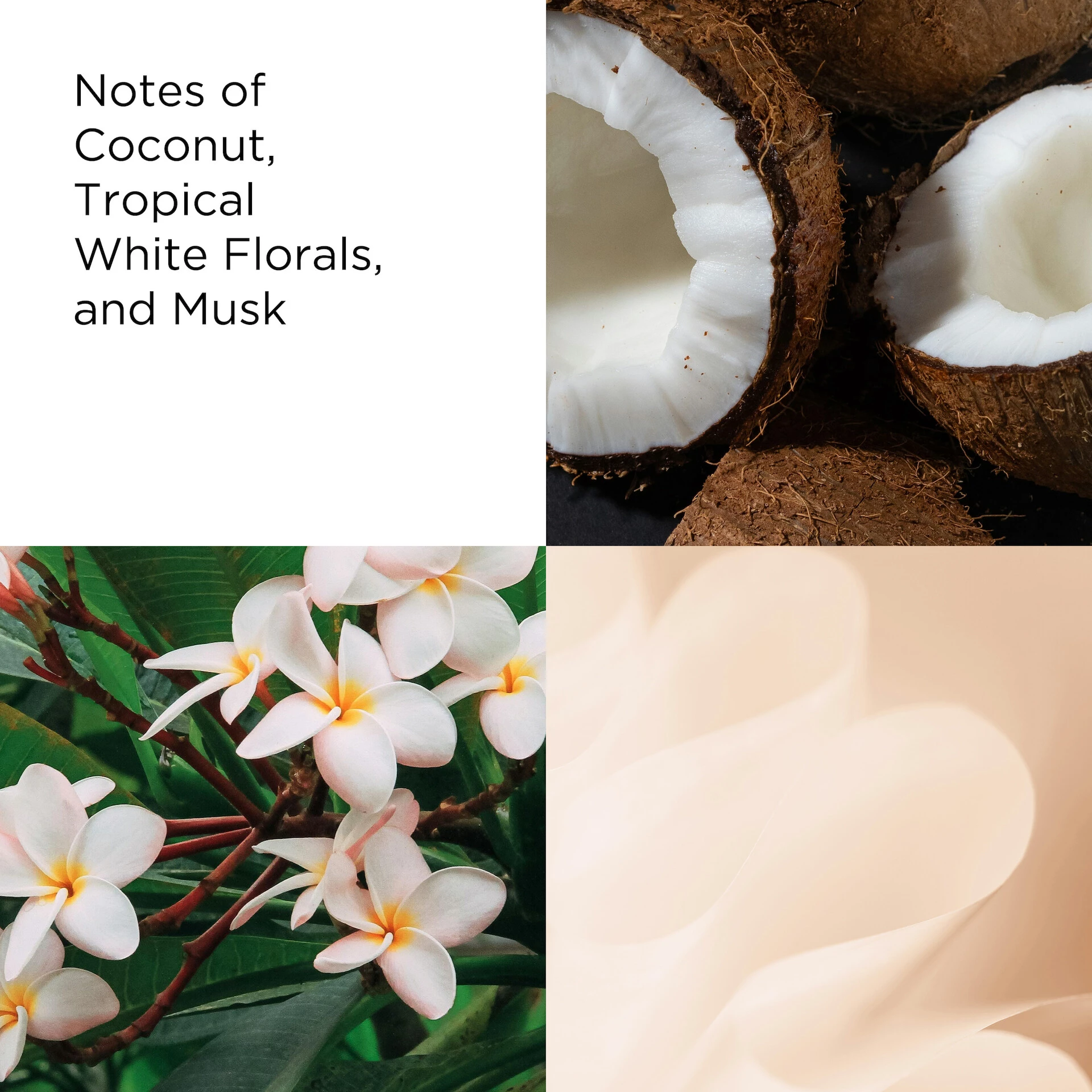 Žaliosios arbatos ir kokoso dvelksmo tualetinis vanduo (EDT), 50 ml – Elizabeth Arden