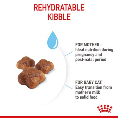 Royal Canin Moeder & Babykat
