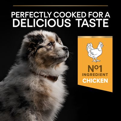 PURINA PRO PLAN Medium Puppy Healthy Start