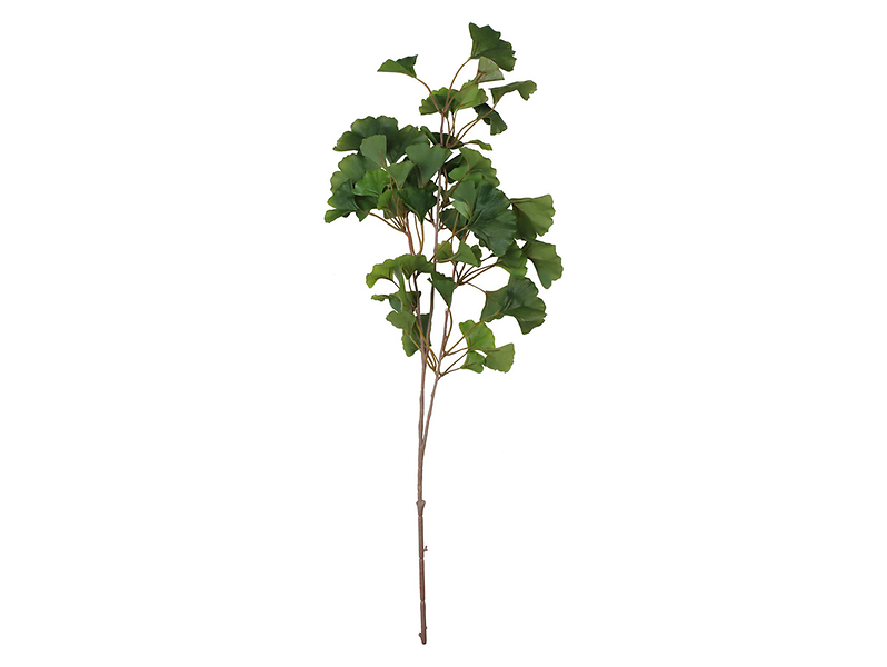 Ginko gałązka 80 cm
