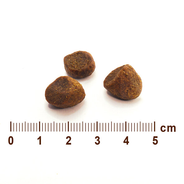 Premium Wild Roots ξηρά τροφή για σκύλους, 4 x 2 kg, Κοτόπουλο & Σολομός