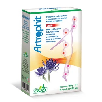 AVD REFORM Arthrophit Urto 20 capsules