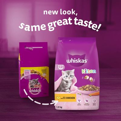 Gattino Whiskas con pollo