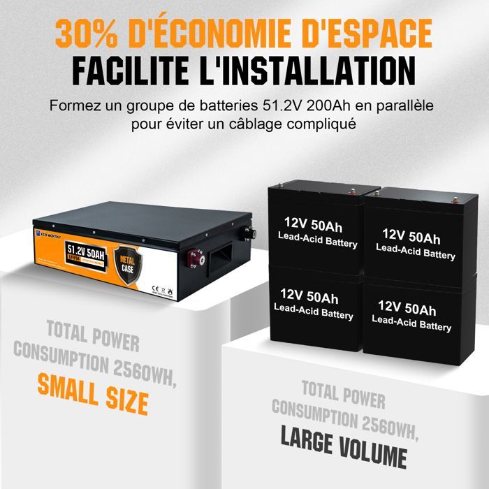 ECO-WORTHY Batterie Lithium LiFePO4 48V 50AH,Batterie Vehicule, protection BMS pour système solaire,camping-car,bateau