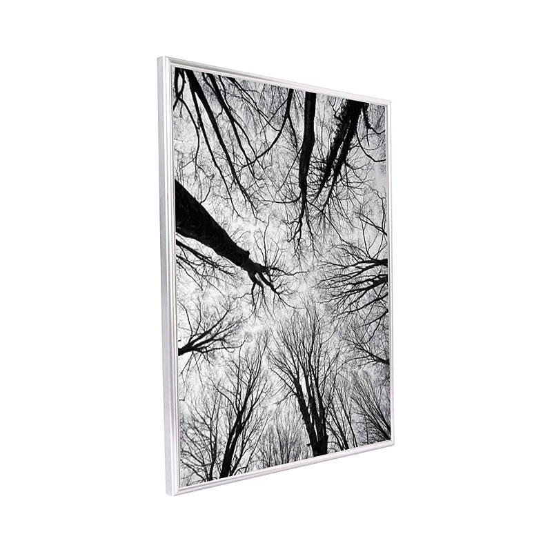 Hjemmeramme Deco 40x50 cm sølv