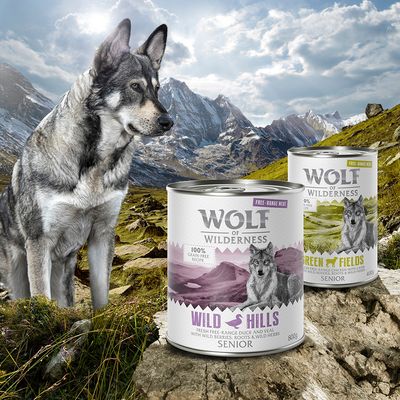 Wolf of Wilderness – stada mieszane z wolnego wybiegu