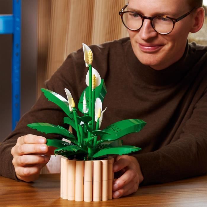 LEGO Botanicals 11504 Les Fleurs de Lune - Set de Plante Artificielle pour Adulte - Déco