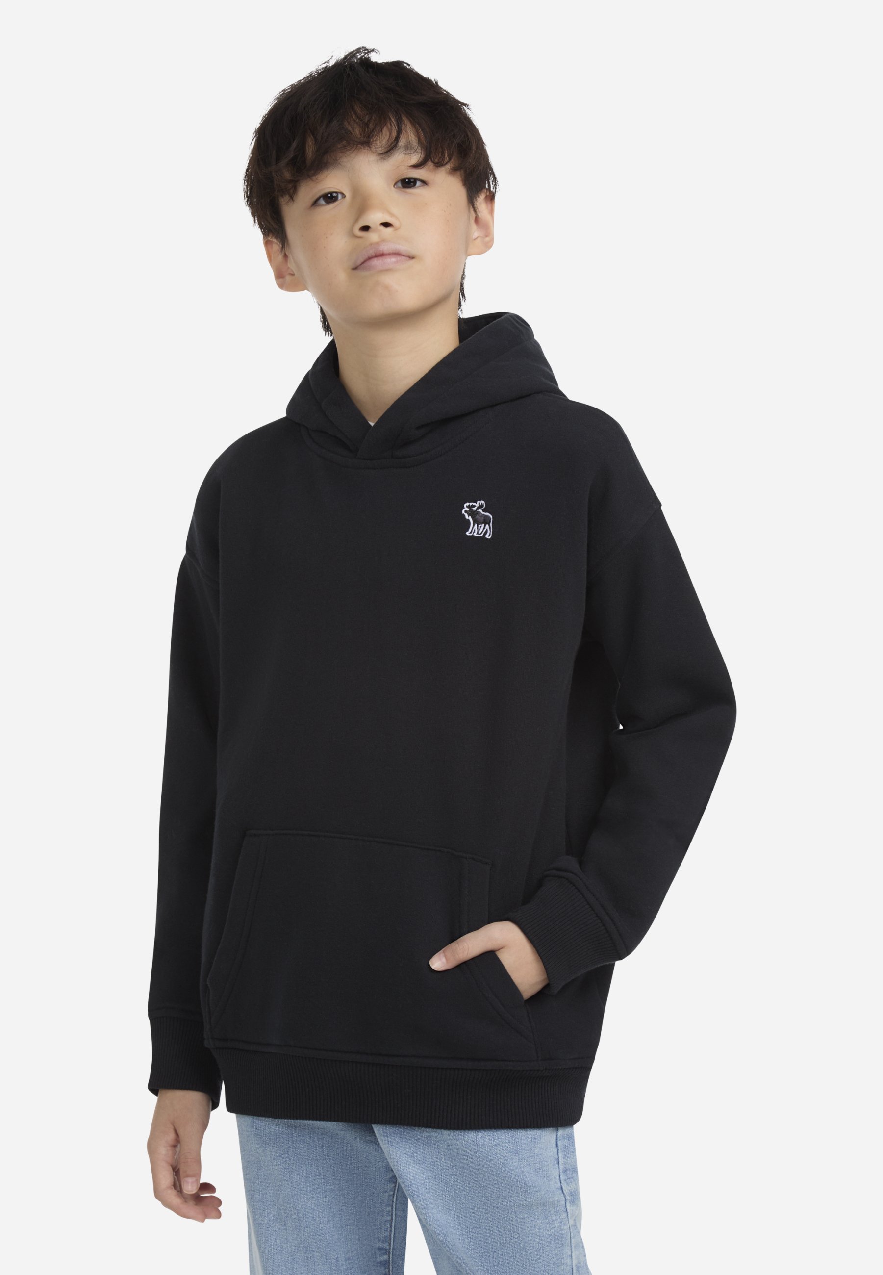 Abercrombie & Fitch ESSENTIALS - Sweatshirt - antraciet