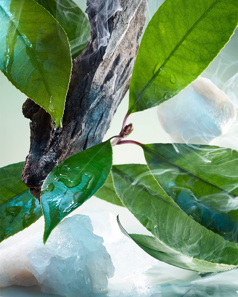 BVLGARI Pour Homme Eau de Parfum