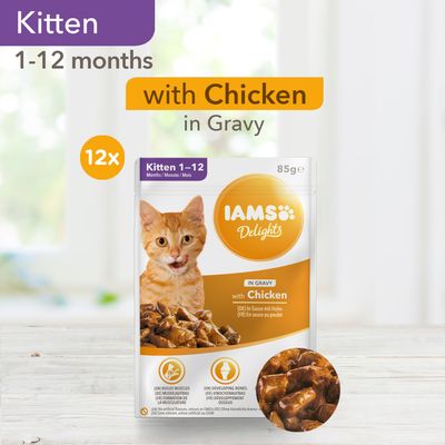 IAMS Delights Kitten – Kanaa kastikkeessa