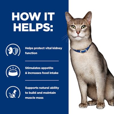 Hill's Prescription Diet Feline k/d Kidney Care - Ton