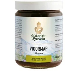 MAHARISHI AYURVEDA Vigormap Herstelsupplementpasta 600 g