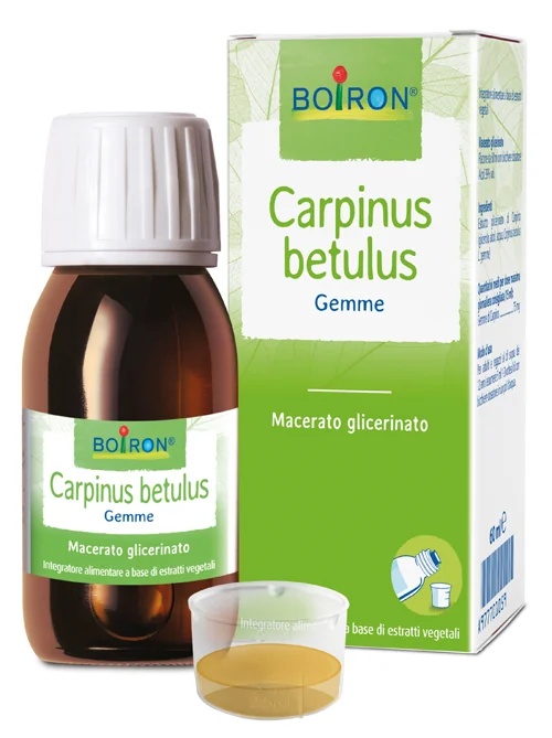 BOIRON Carpinus Bet Boi Glycerinemaceraat 60 ml Int