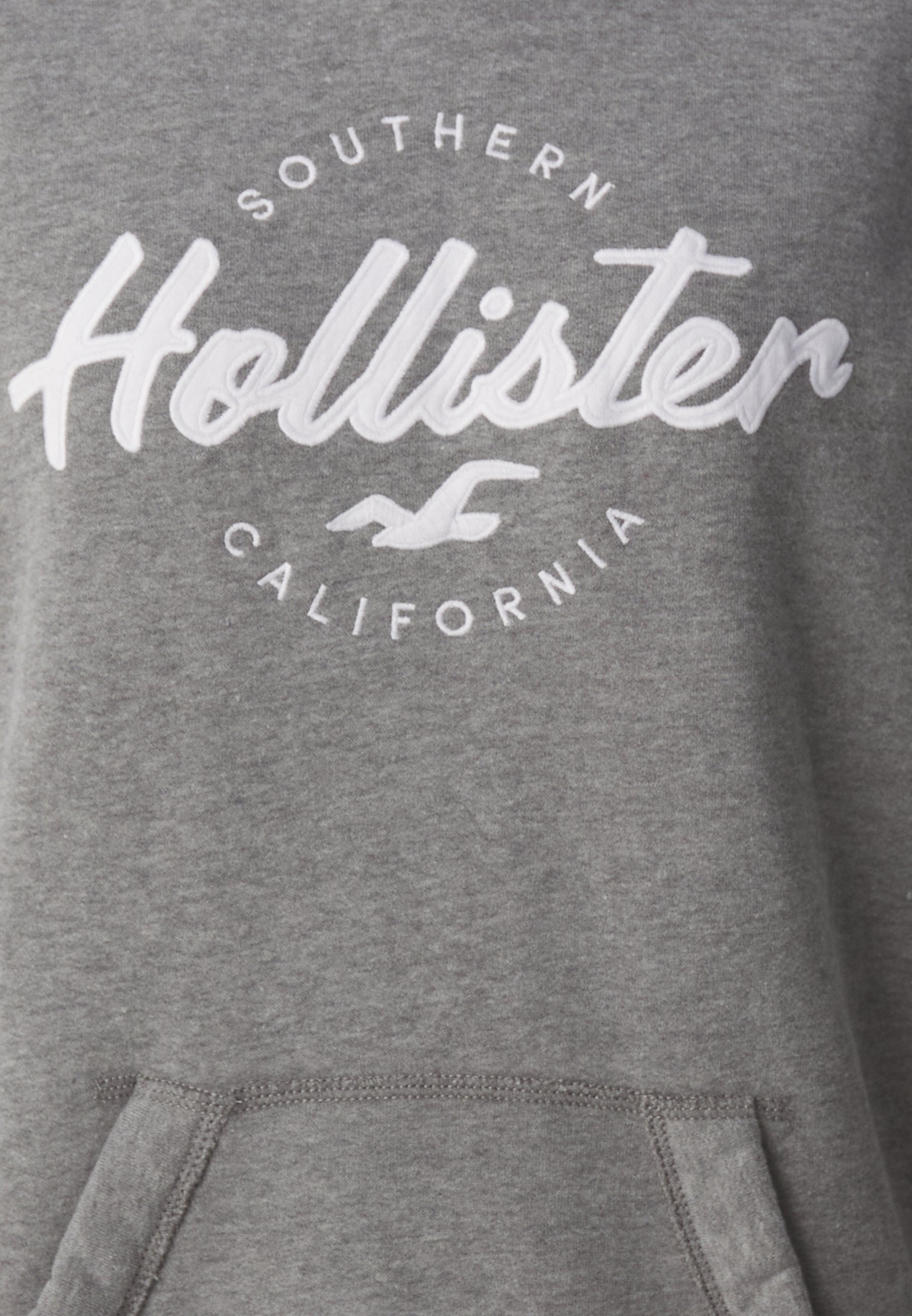 Hollister Co. Hoodie - grijs