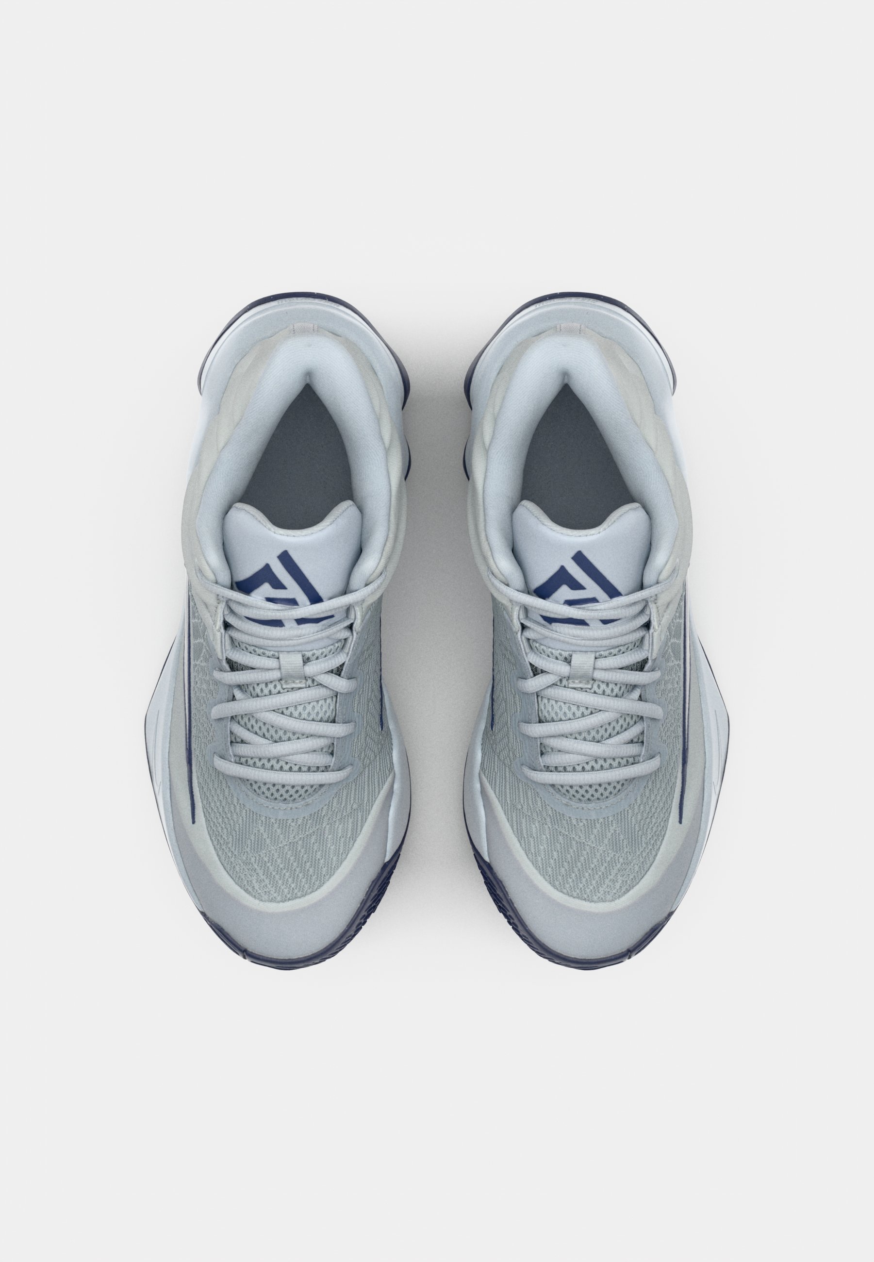 Nike Performance GIANNIS IMMORTALITY 4 - Basketbalschoenen - wolfgrijs/metallic platinum/pure platinum