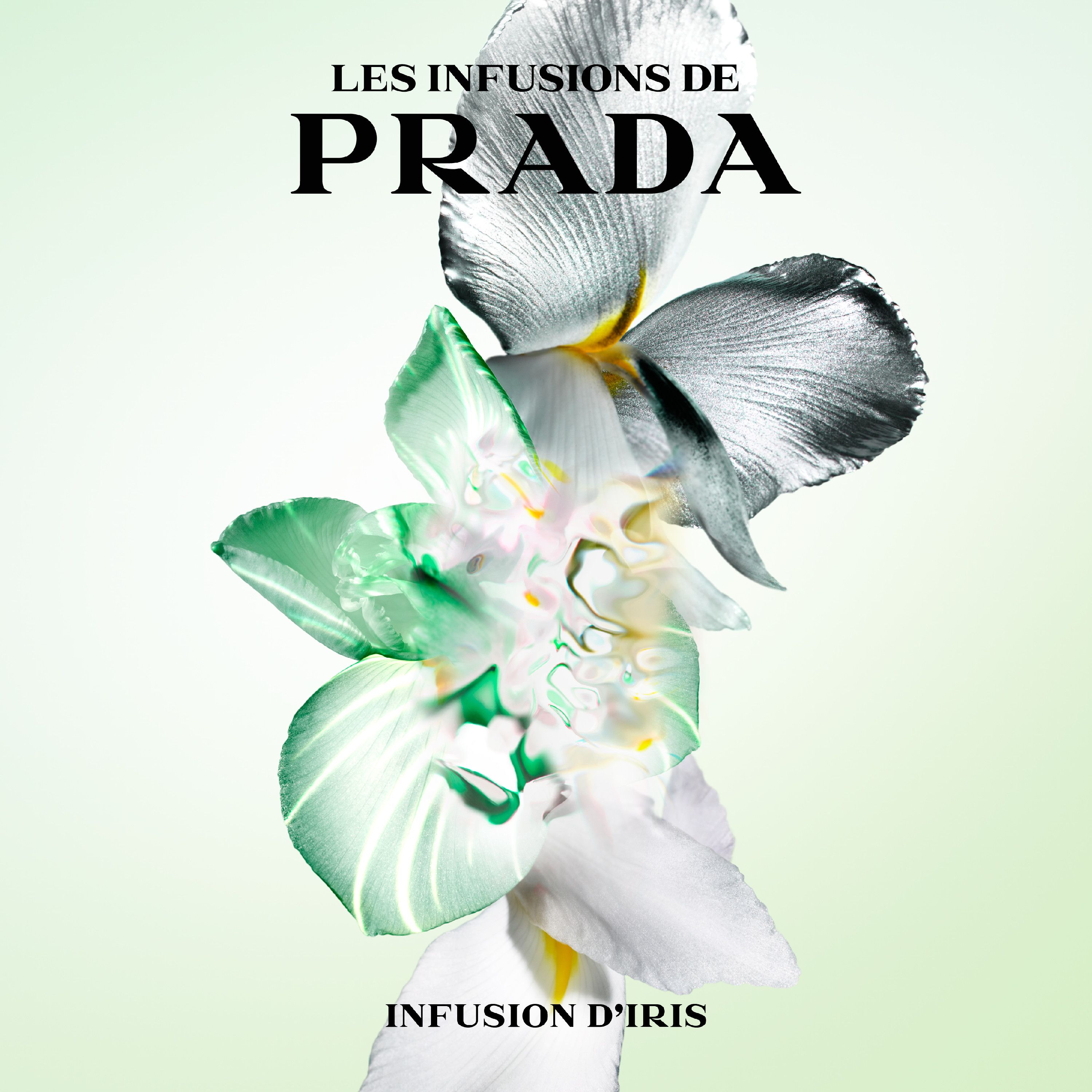 Infusion d'Iris Eau de Parfem Ženski parfemi