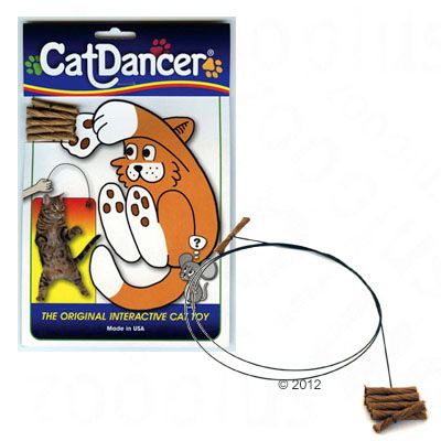 Kattedanser Katteleke