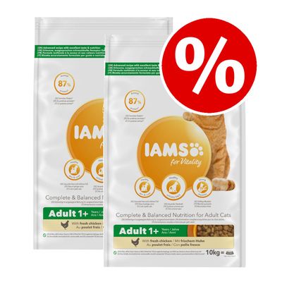 Confezioni economiche di cibo secco per gatti IAMS