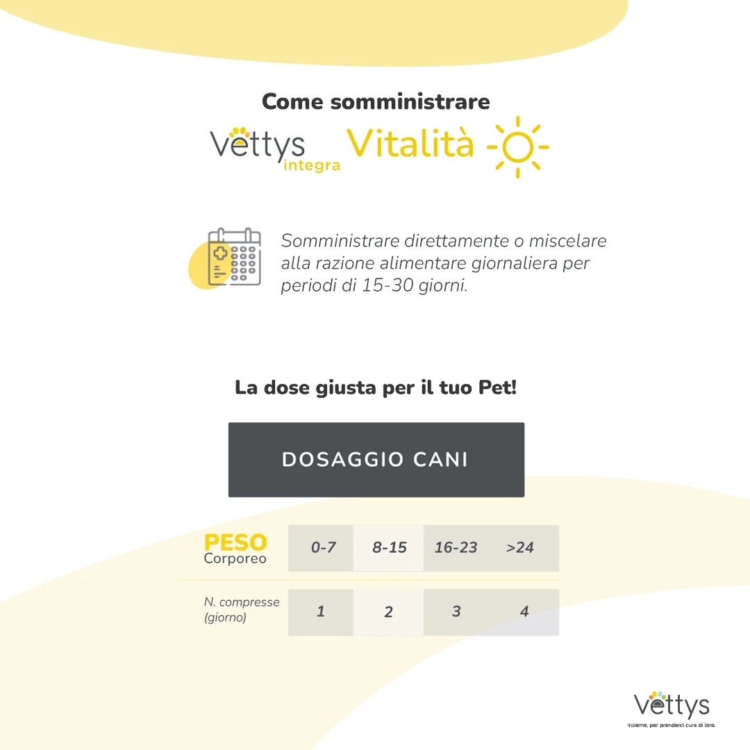 VETTYS Vettys Integra Vitality Dog 30 tabletten Energietonicum