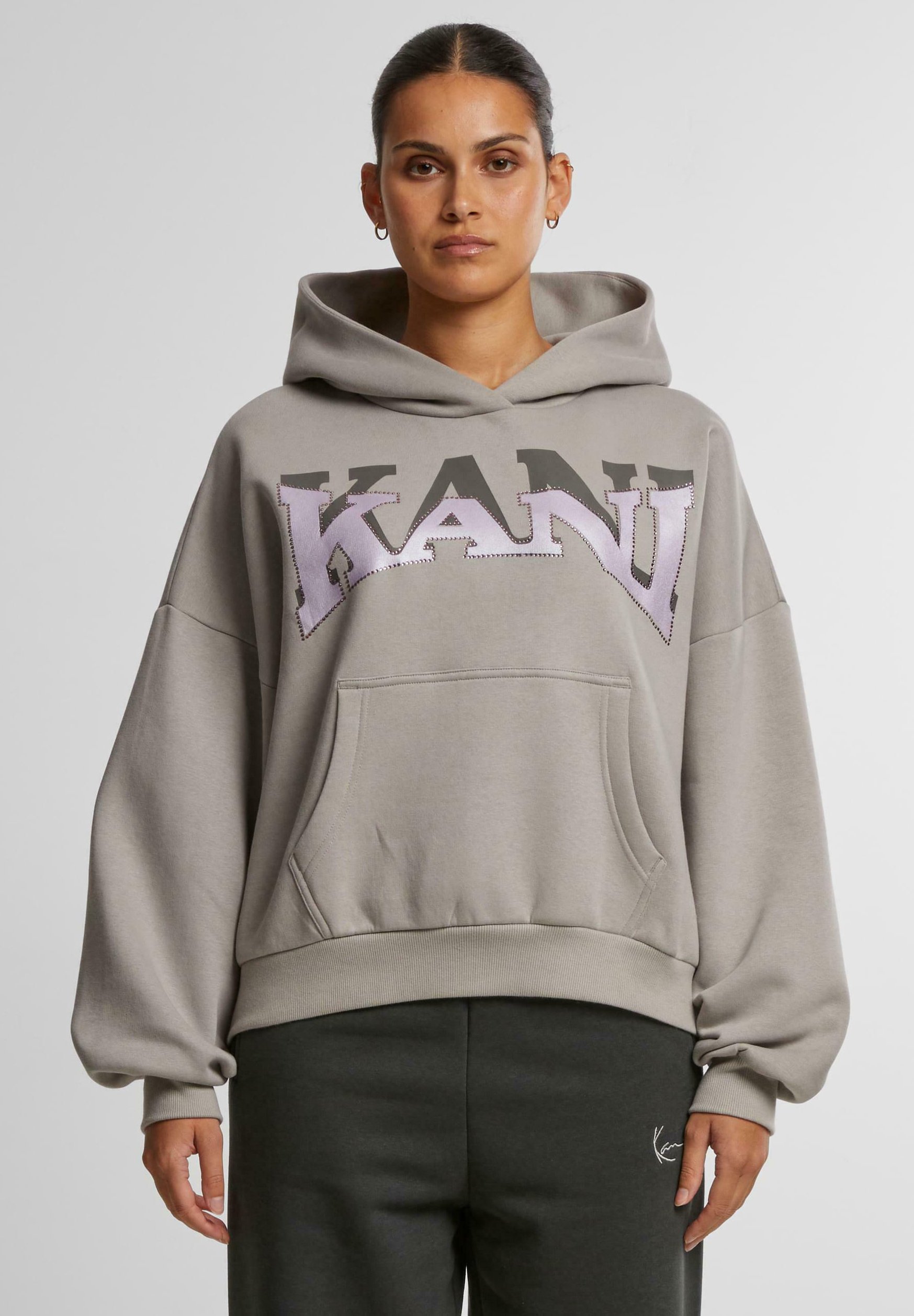 Karl Kani SIGNATURE GLITTER - Hoodie - grijs