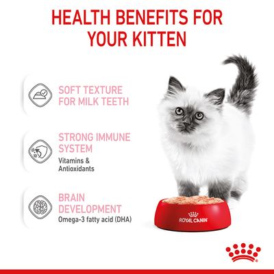Royal Canin Kitten -kissanruoka leivässä