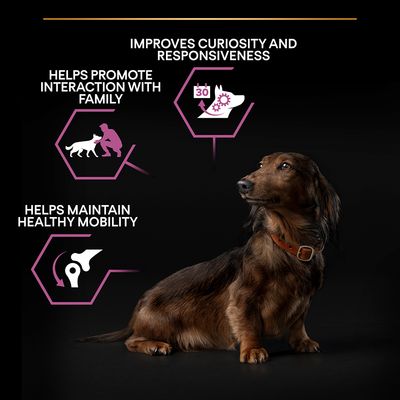 PURINA PRO PLAN Small & Mini Adulti 9+ Età Difesa - Pollo