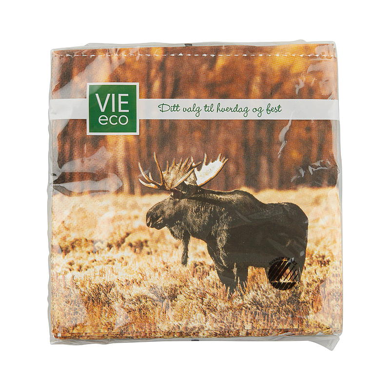 Vie Eco Servietten, 20er-Pack, 33 x 33 cm, Herbst