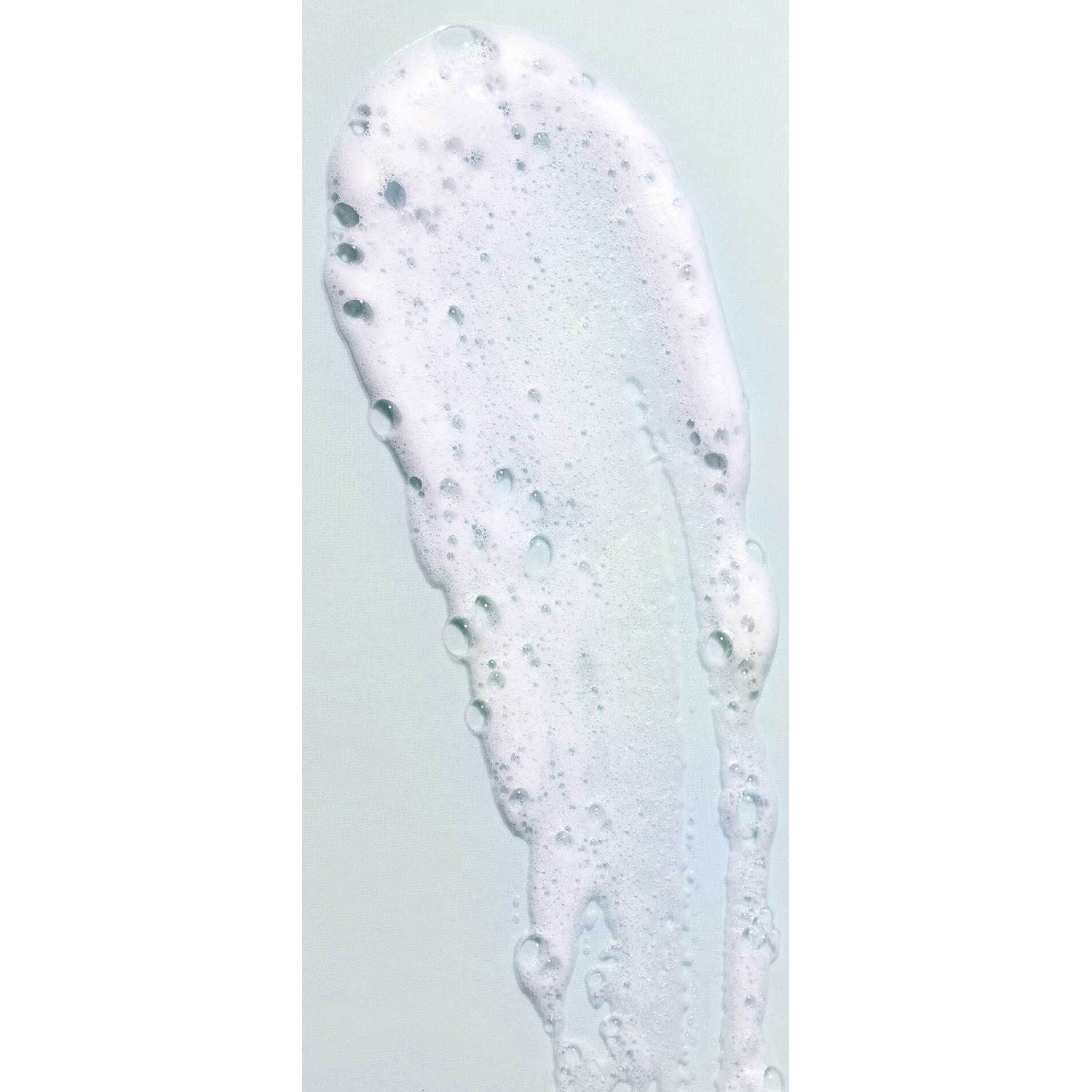 rahua pjena za kosu sa Aloe Verom – 105 ml
