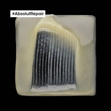 L'Oréal Professionnel Serie Expert Absolut Repair Shampoo intenzivní regenerační šampon pro poškozené vlasy 300 ml