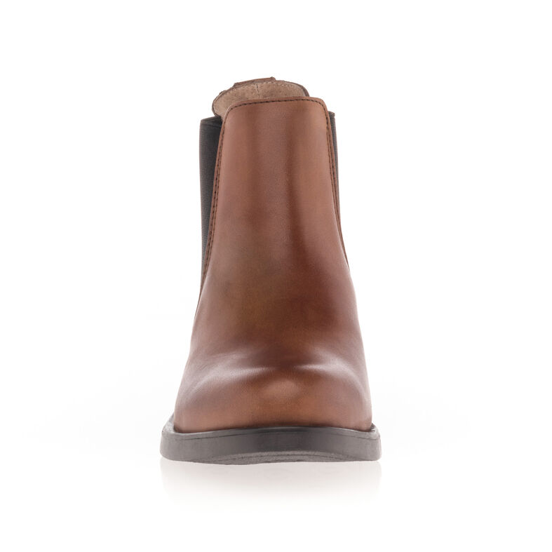 Boots / bottines Femme Marron