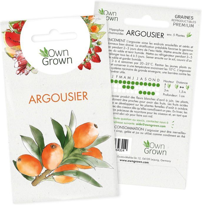 Graines d'Argousier : Kit semences d'Argousier pour environ 5 semis à planter et faire pousser - Graine d'arbre fruitier, fruit du
