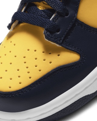 Nike Dunk Low Big Kids' Shoes