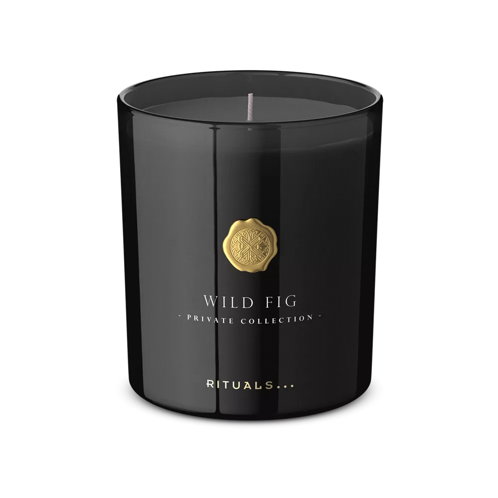 Vela aromática de higo silvestre de la colección privada, vela aromática de lujo, 360 g