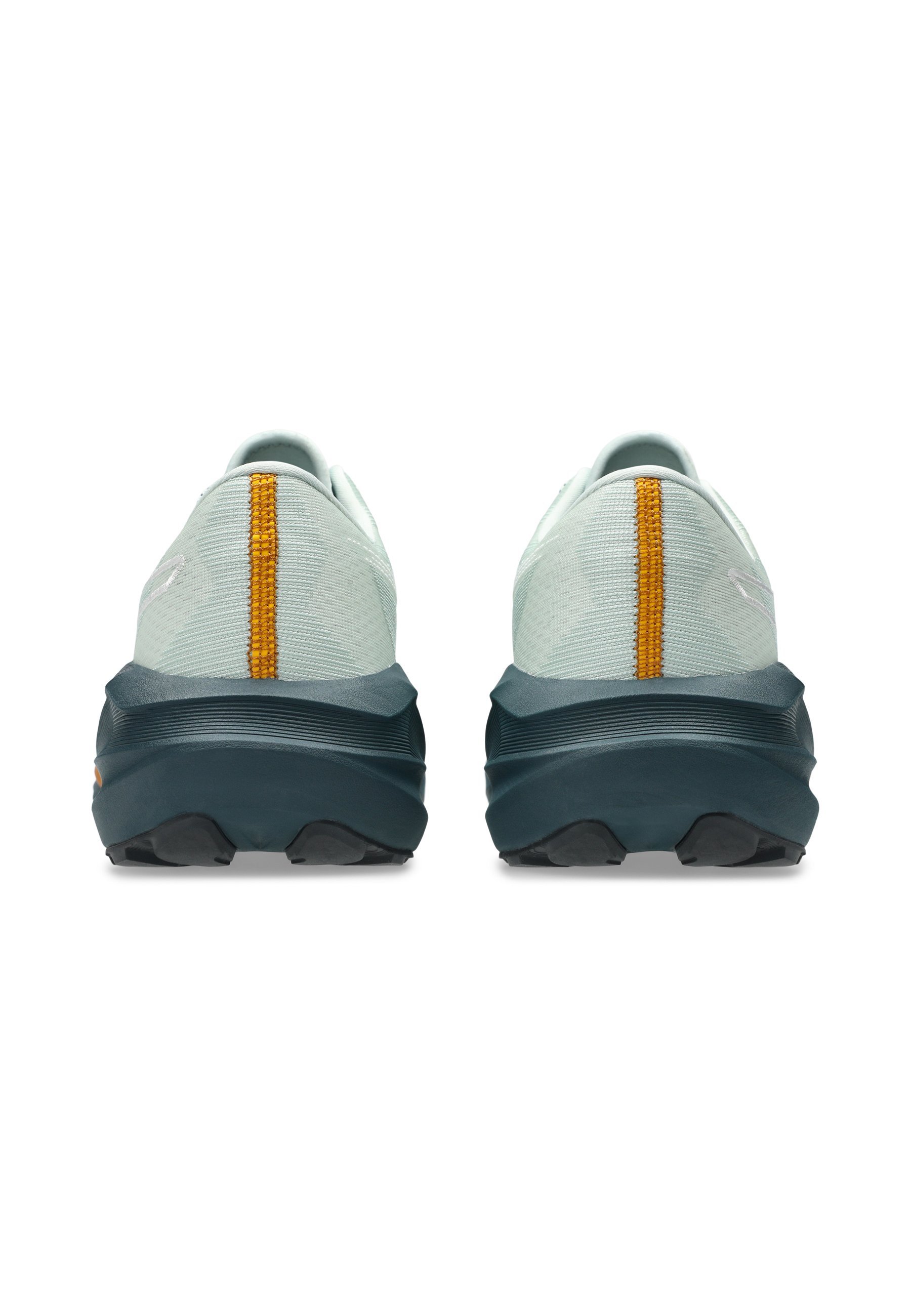 ASICS NOVABLAST 5 TR - Buty do biegania w terenie - kąpiel w naturze, porosty, skała