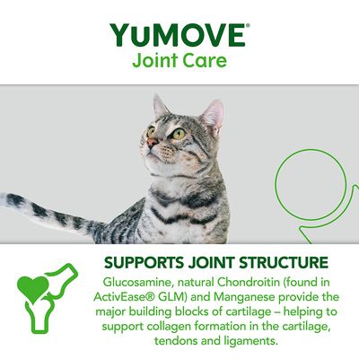 YuMOVE ledpleje til alle katte