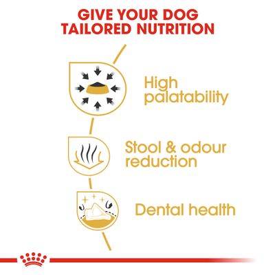 Royal Canin Chihuahua Adulte