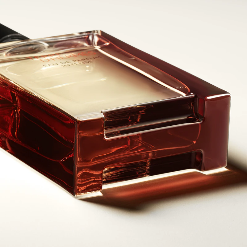 HERMÈS Terre d'Hermès Eau de Parfum Intense intensiv für Männer