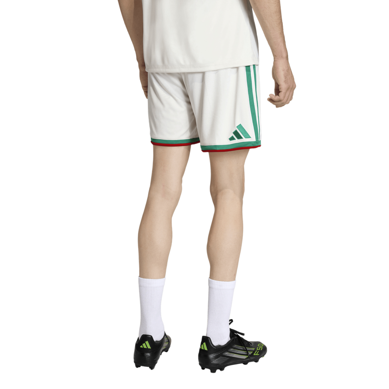 adidas Algeriet 26 Hjemme Replica Shorts