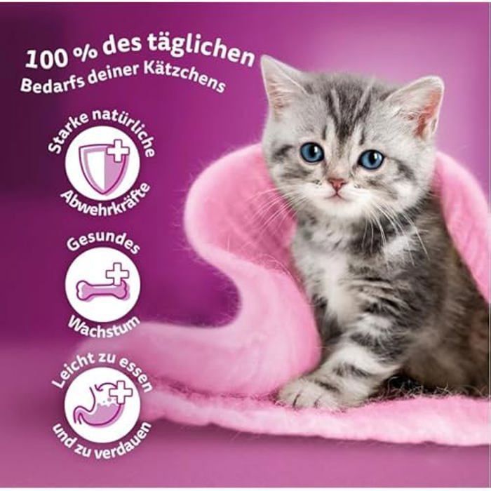 WHISKAS Junior Natvoer voor Katten - Gevogelte - 40 zakjes van 85 g - Voedzame Paté