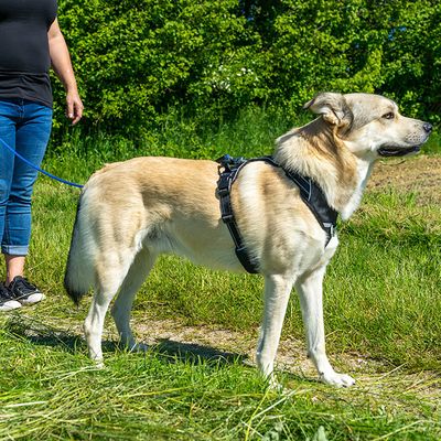 Pawz & Pepper ronde gevlochten volglijn - blauw