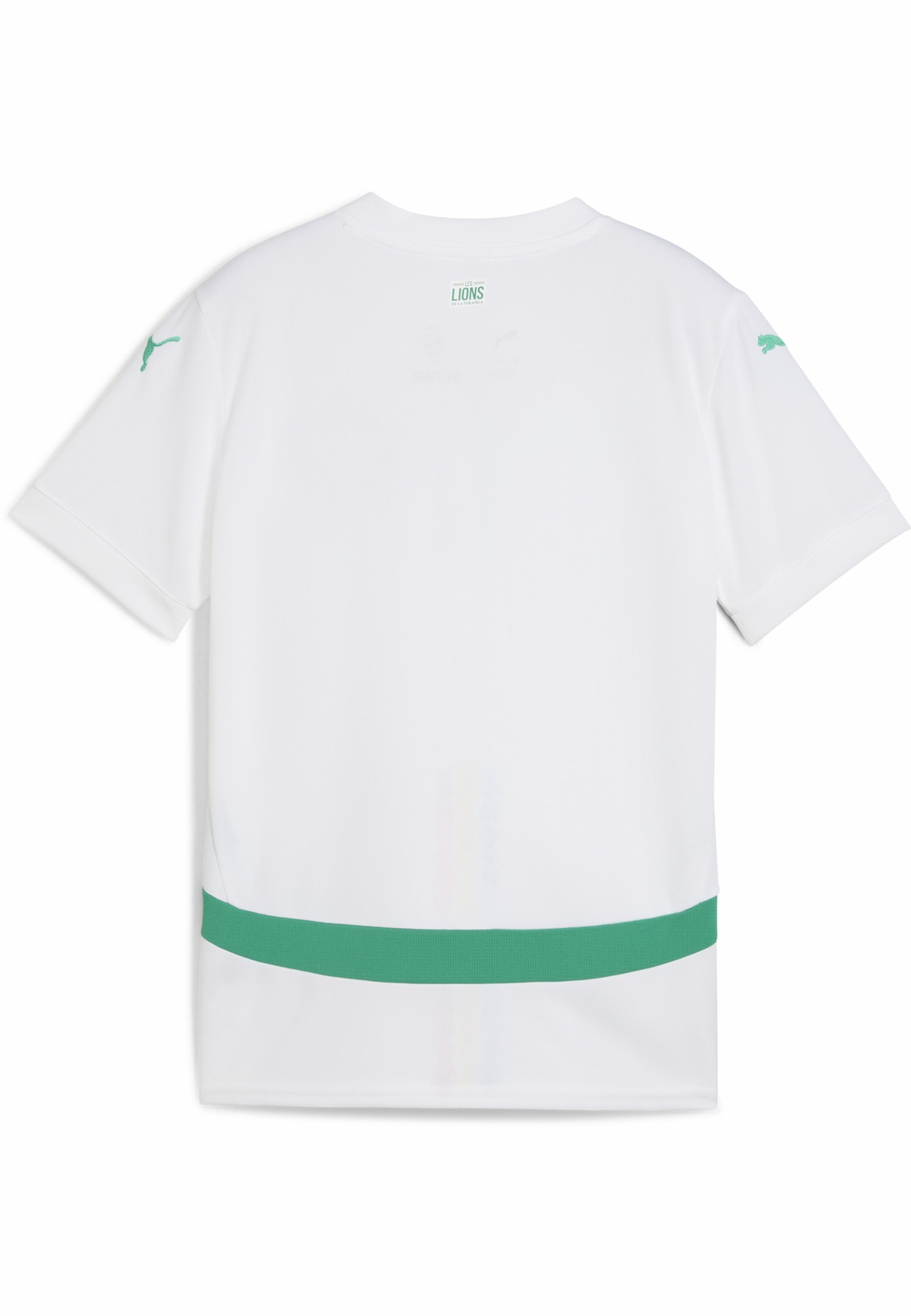 Puma SENEGAL 2025 - Urheilullinen T-paita - valkoinen-vihreä
