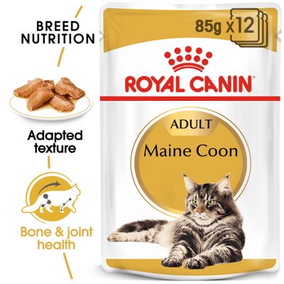 Royal Canin Maine Coon Adult in Soße