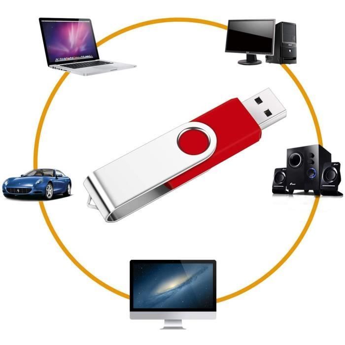 Lot de 10 Clés USB SRVR 8Go Multicolore - Mémoire Flash - USB 2.0 - Avec Capuchon Voyant