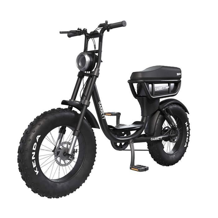 Garrett Miller City Black tweepersoons elektrische bakfiets, enkele accu / geschikt voor alle terreinen