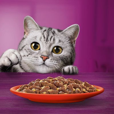 Whiskas 1+ Mese cu carne în jeleu