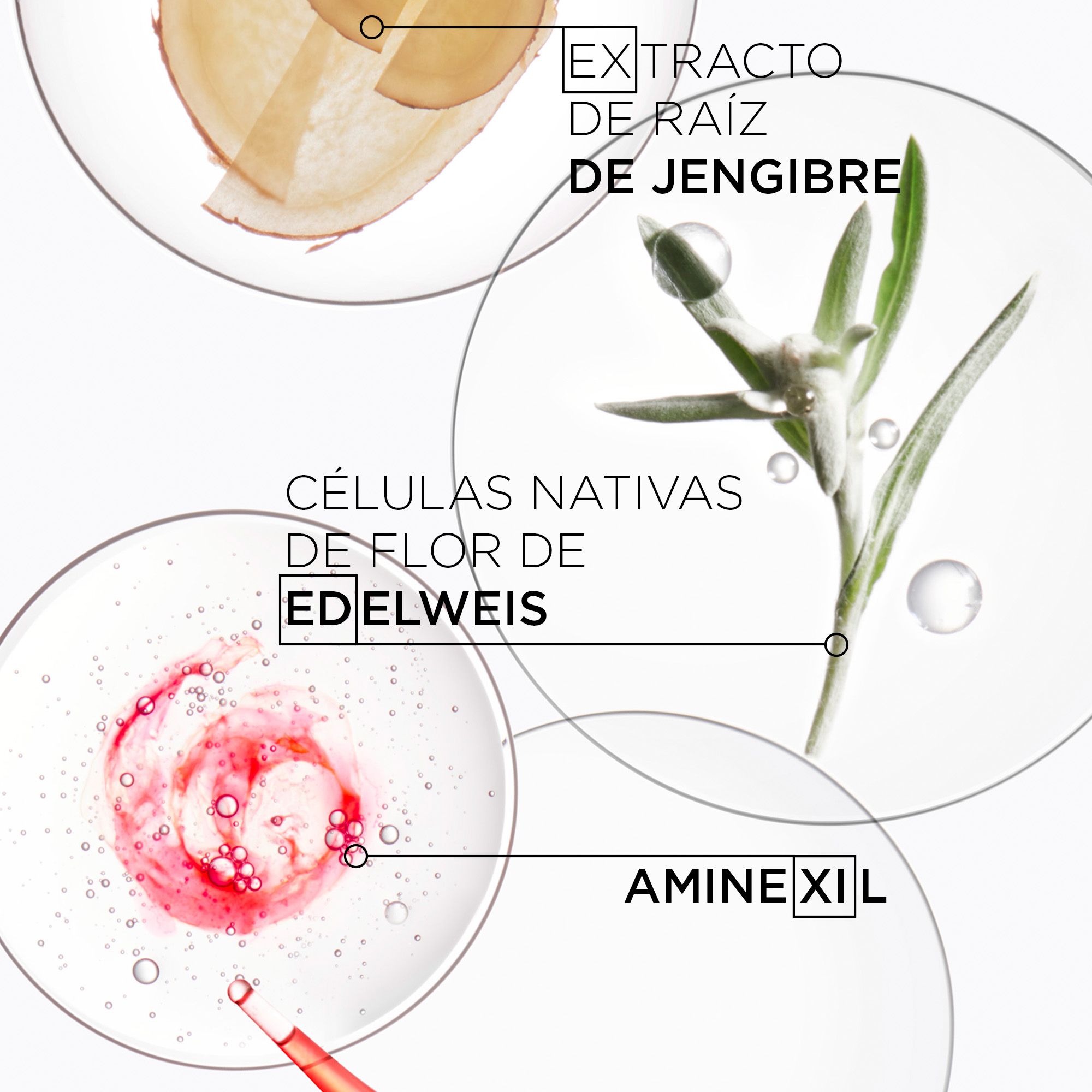 Genesis Posilňujúce sérum proti vypadávaniu vlasov Kadernícke ošetrenia