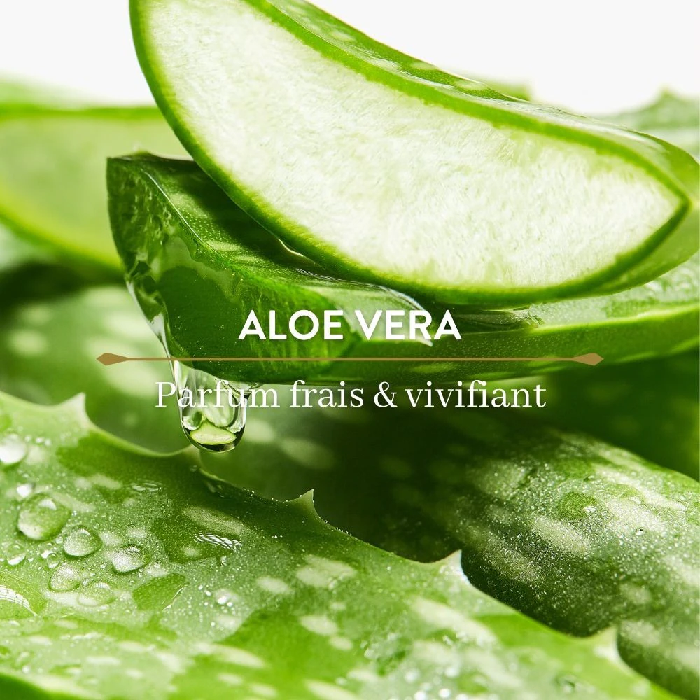 Le Petit Olivier Déodorant Fraîcheur Aloe Vera